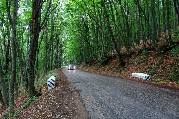 В Крыму реконструируют участок дороги на Ай-Петри